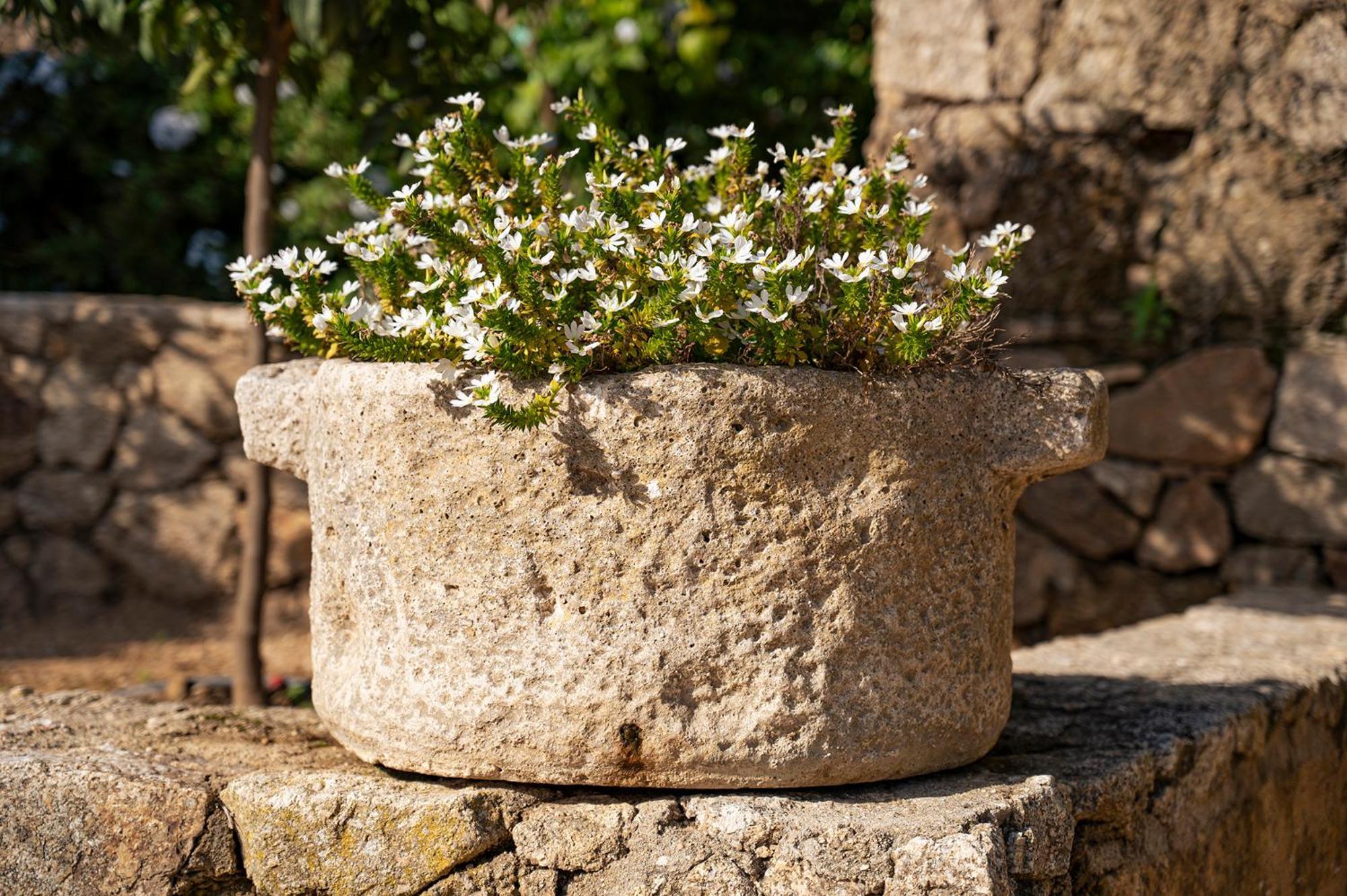 Le Clos De Mansart Grimaud Exterior foto