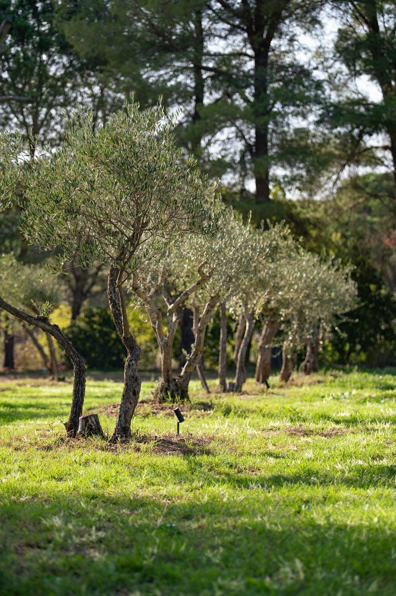 Le Clos De Mansart Grimaud Exterior foto
